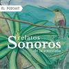 undefined Relatos Sonoros de la Montaña