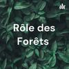 undefined Rôle des Forêts