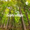 undefined Sophrologie - Miljkovic kristel