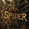 undefined Spider