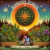 undefined Sun Grown Stories