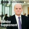 undefined Sunday Supplement