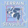 undefined Terrain Sensible