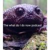 undefined The what do I do now podcast.