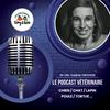 undefined Tony et Léon - Conseils de vétérinaires