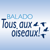 undefined Tous aux oiseaux!