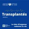 undefined Transplantés