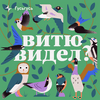undefined Витю видел?
