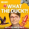 undefined What The Duck?!