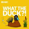 undefined What The Duck?!