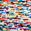 undefined Zelda breath of the wild podcast
