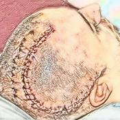 Podcast A Common Man: The Path Less Taken