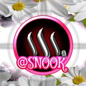 Podcast A Snook Minute