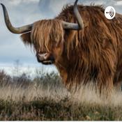 Podcast AIR HORN TIME!!!