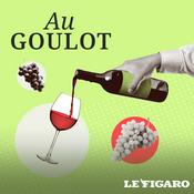 Podcast Au goulot !