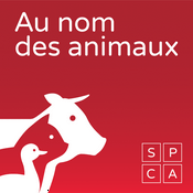 Podcast Au nom des animaux