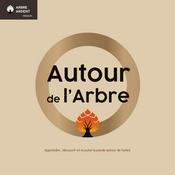 Podcast Autour de l'arbre