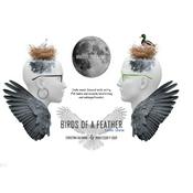 Podcast Birds Of A Feather