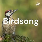 Podcast Birdsong