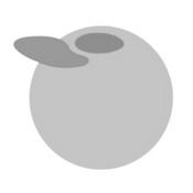 Podcast Blackbird Podcast