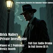 Podcast Brick Mallery Private Investigator