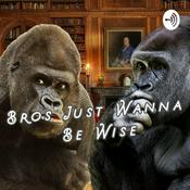 Podcast Bros Just Wanna Be Wise