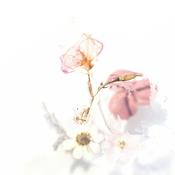 Podcast brown girl Poetry