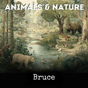 Podcast Bruce