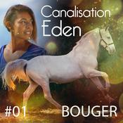 Podcast Accompagnement Les animaux et nous
