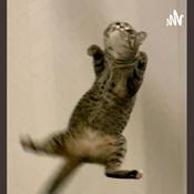 Podcast Cars,anime and stuff with Totinbolo