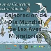 Podcast Celebracion de Dia Mundial de Las Aves Migratorias