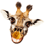 Podcast Chamonix : La MJC dans tes oreilles!