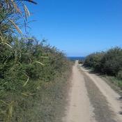 Podcast Chemins d’histoire