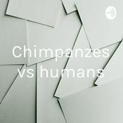 Podcast Chimpanzes vs humans