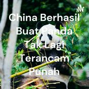 Podcast China Berhasil Buat Panda Tak Lagi Terancam Punah