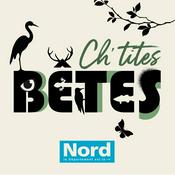 Podcast Ch'tites bêtes