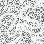 Podcast Club Privée