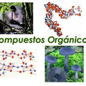 Podcast compuestos organicos