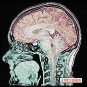 Podcast CORTEX ou l’âge de déraison
