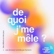 Podcast De quoi j'me mêle ?