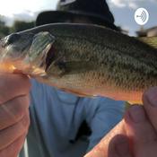 Podcast desert fishin