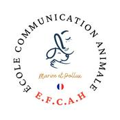 Podcast Dialogue Instinctif : le podcast pour tout savoir sur la communication animale