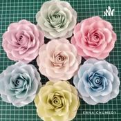 Podcast Enzikerta Tinggi