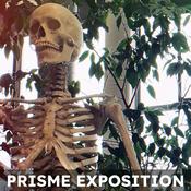 Podcast Exposition PRISME Amiens • UPJV