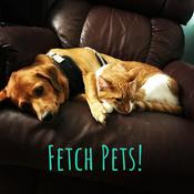 Podcast Fetch Pets!