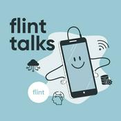 Podcast FLINT talks