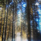 Podcast Forêt Primaire : Rencontre Avec Francis Hallé