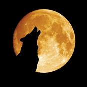 Podcast full moon ghost hunts