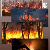 Podcast Grupo desmatamento 7 ano