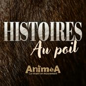 Podcast Histoires au poil